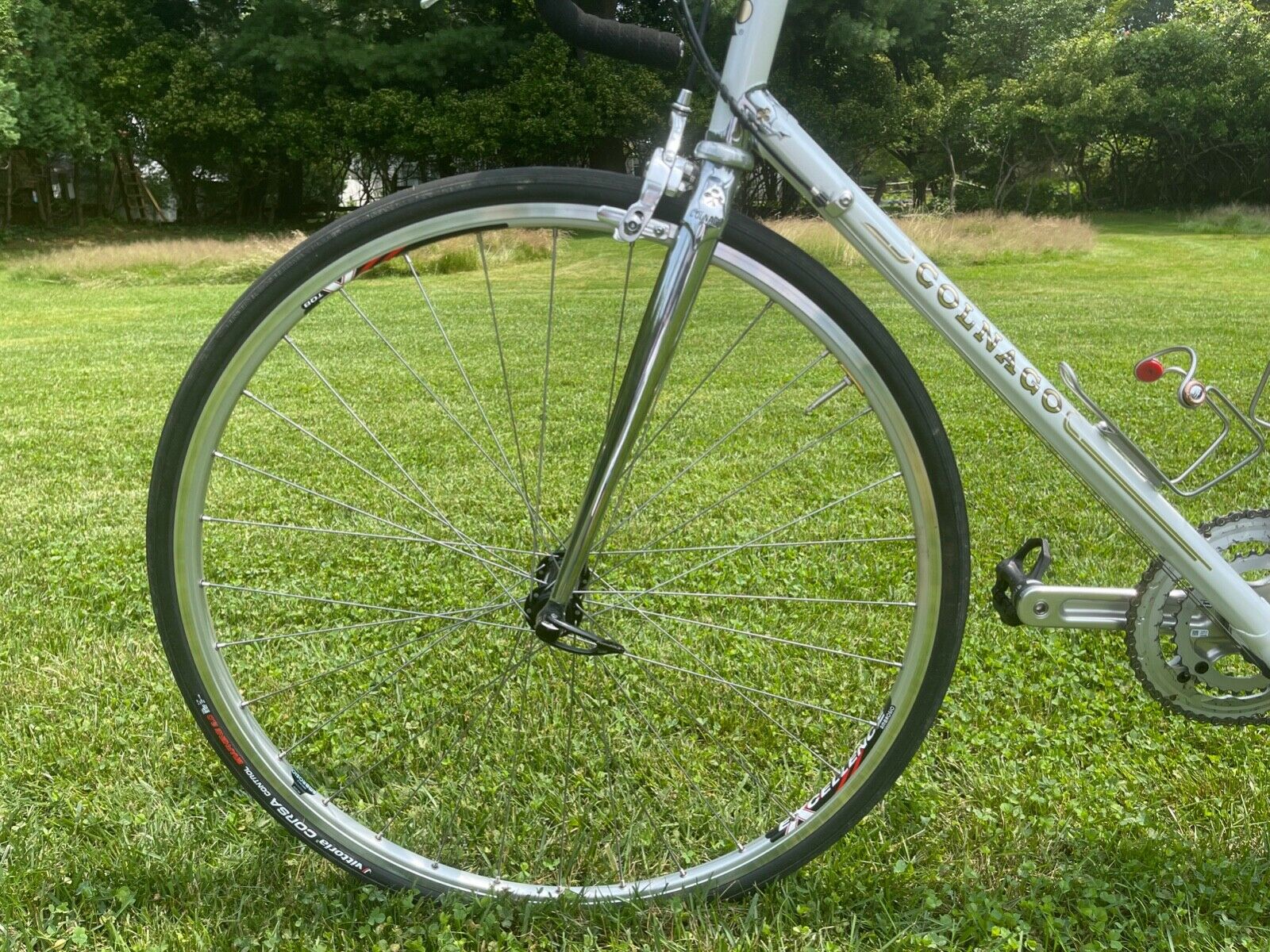 Colnago Arabesque - Fresh Stock Dated December 2025