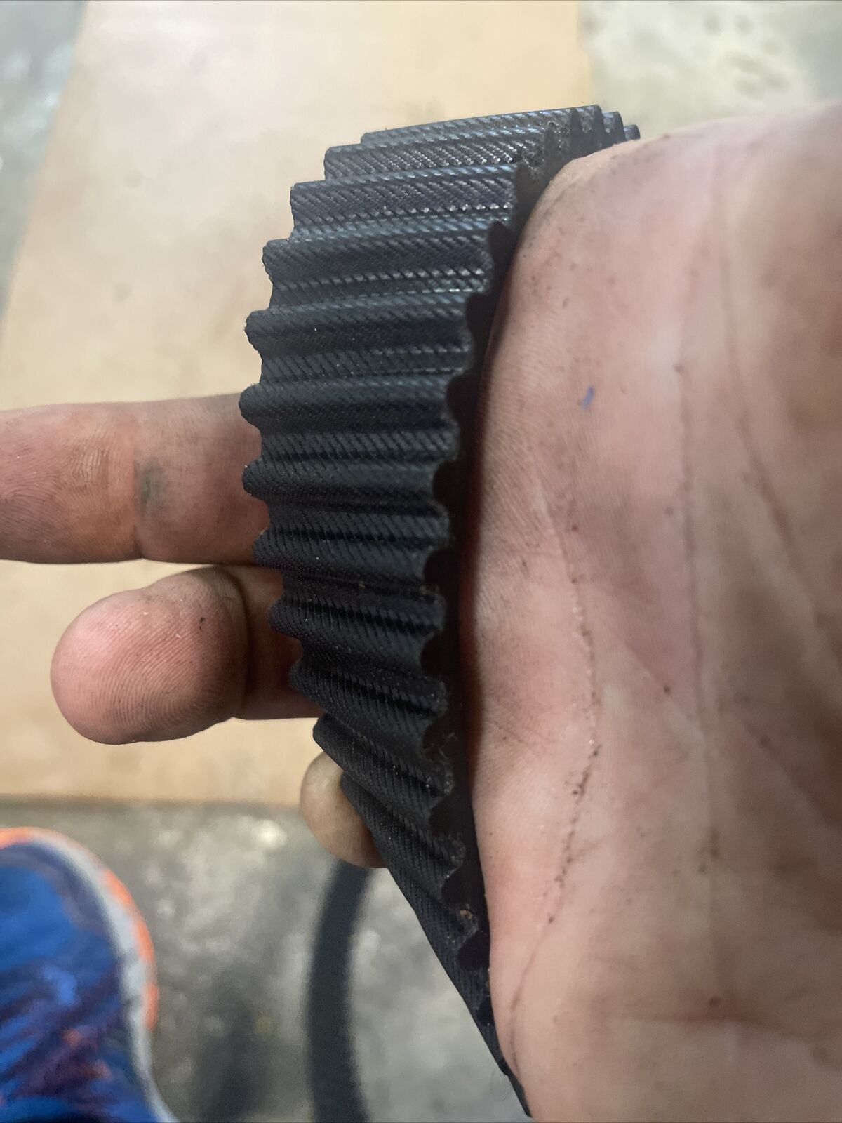 OEM Mercury Timing V-Belt - 57-887883 - Fresh Stock Dated February 2026