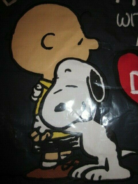 Pottery Barn Teen Kids Peanuts Snoopy Dog Charlie Brown Life Heart Pillow Cover - Fresh Stock Dated January 2026
