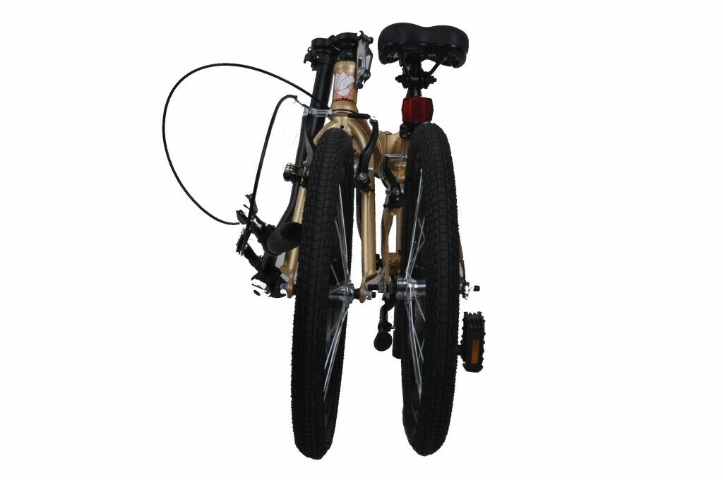 SAMPLE GOLD Columba 20