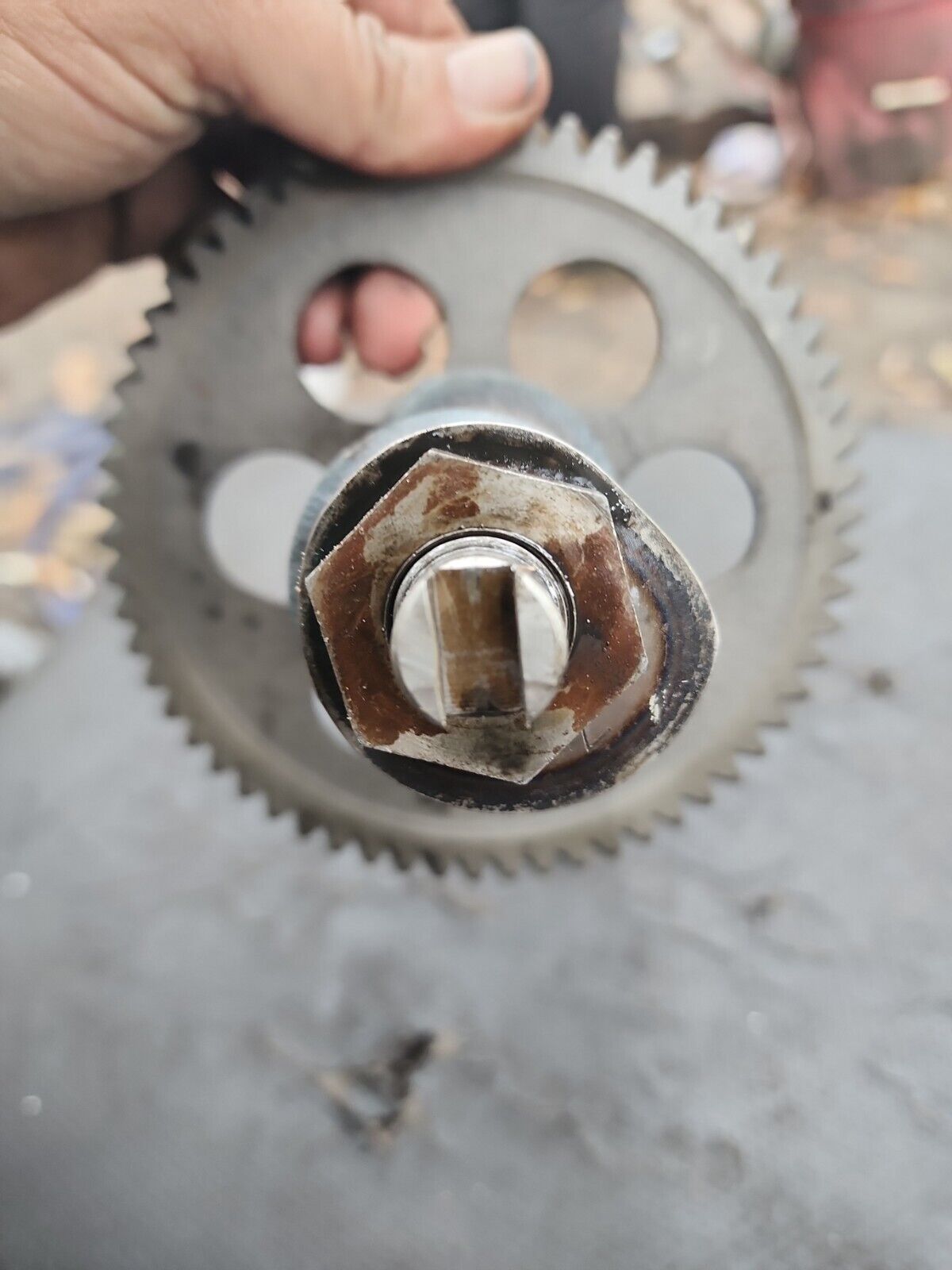 Yanmar 3T75HL CAMSHAFT & GEAR 129350-14100 3 CYL DIESEL - Fresh Stock Dated February 2026