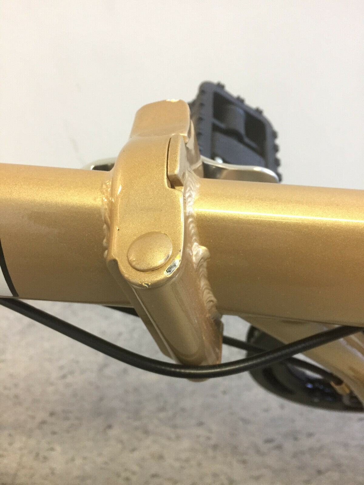 SAMPLE GOLD Columba 20