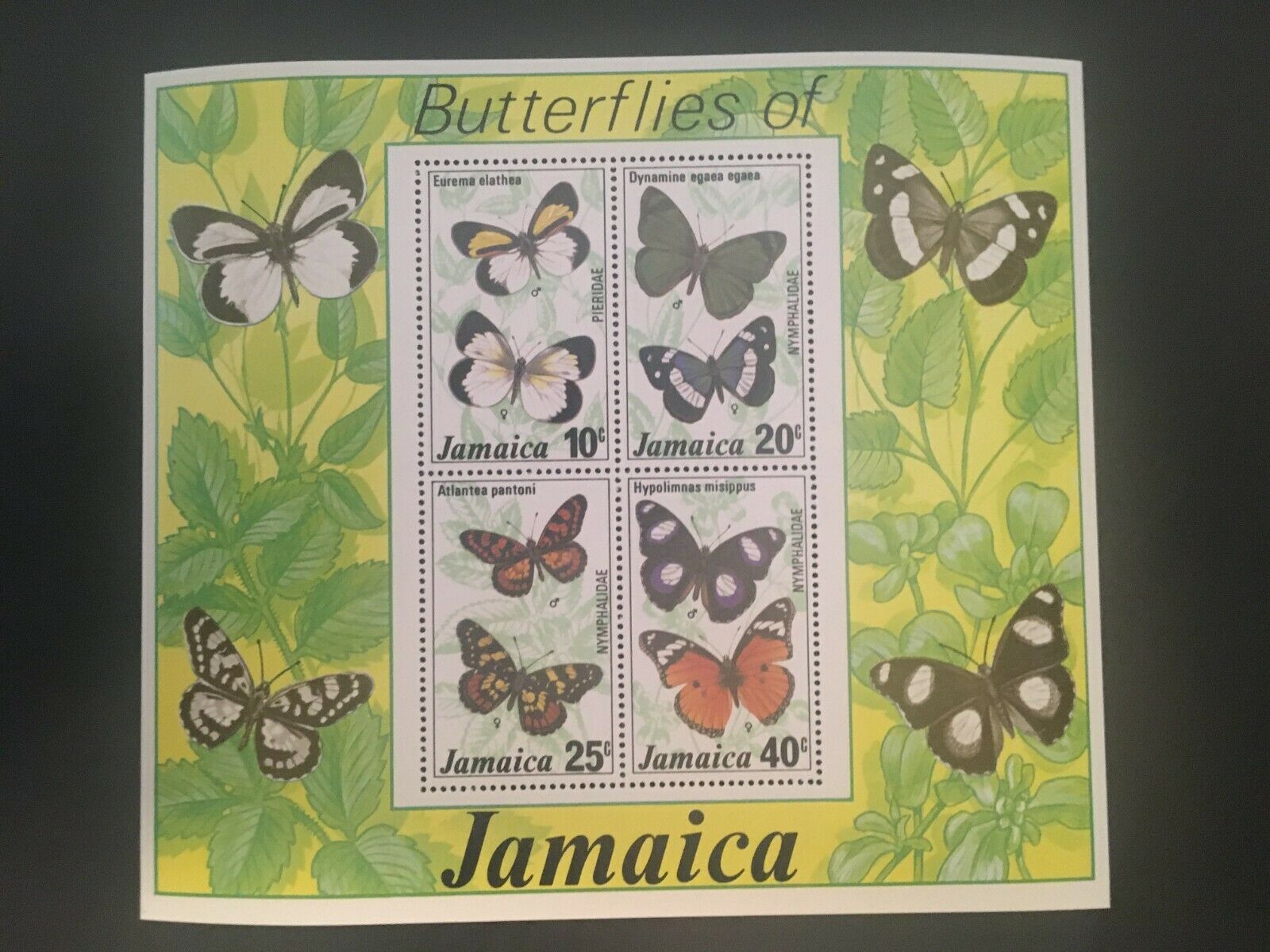 Butterflies of Jamaica  #401a and  #426a  MNH S/S - Fresh Stock Dated December 2025