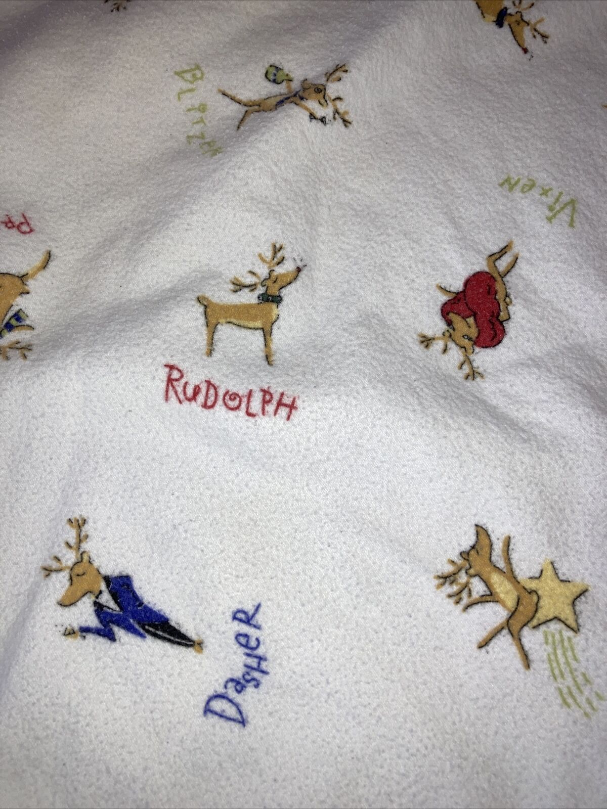 Pottery Barn Santa' Reindeer Sham FLANNEL Christmas Standard   EUC - Fresh Stock Dated February 2026