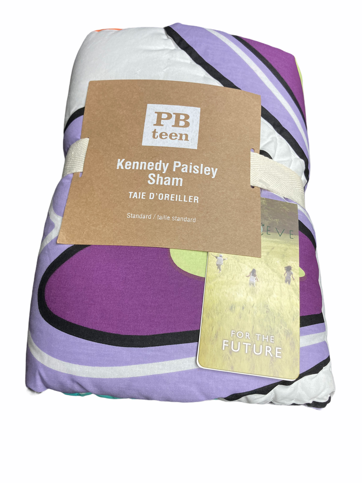 Pottery Barn Teen NEW Taie D' Oreiller Kennedy Quilted Paisley Sham - Fresh Stock Dated December 2025