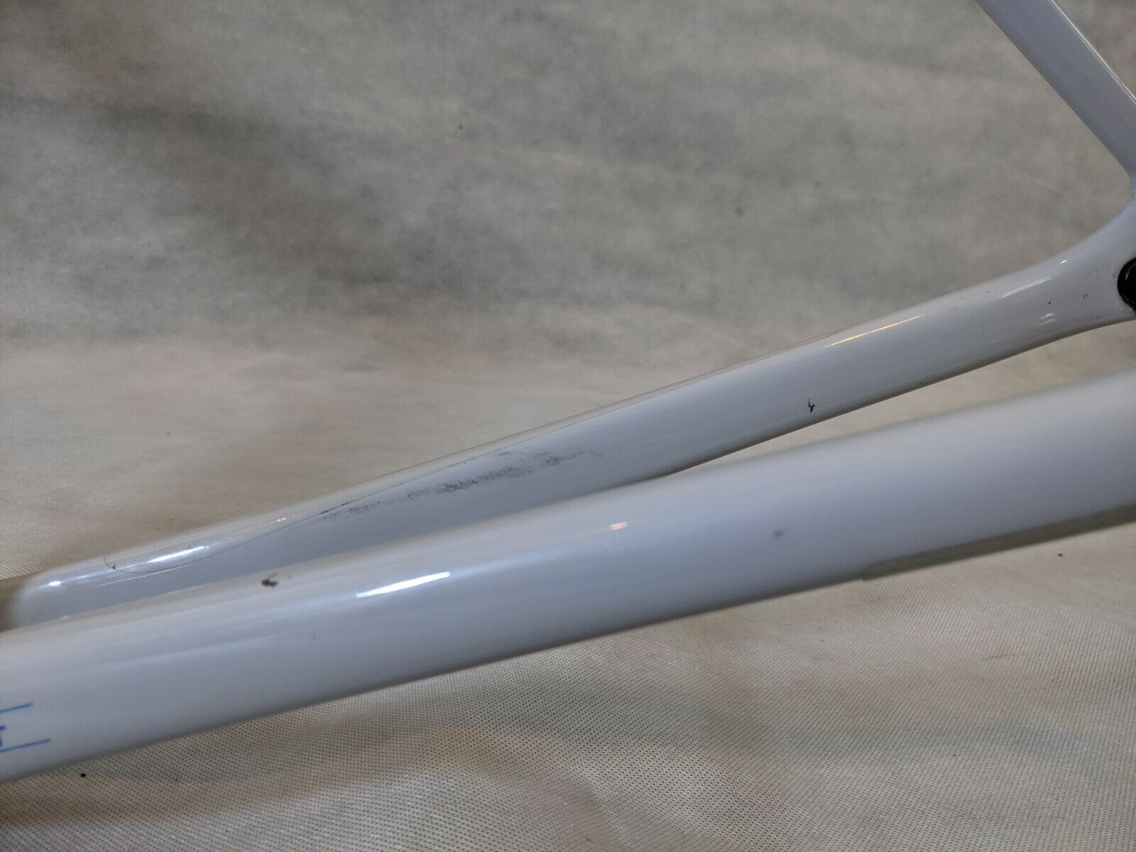 Specialized Roubaix 2019 56cm - Fresh Stock Dated February 2026