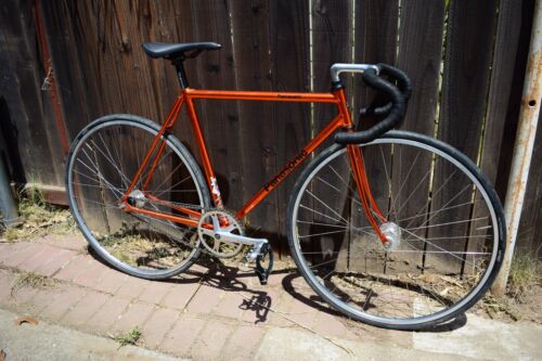 Panasonic Track Bike - Fresh Stock Dated February 2026