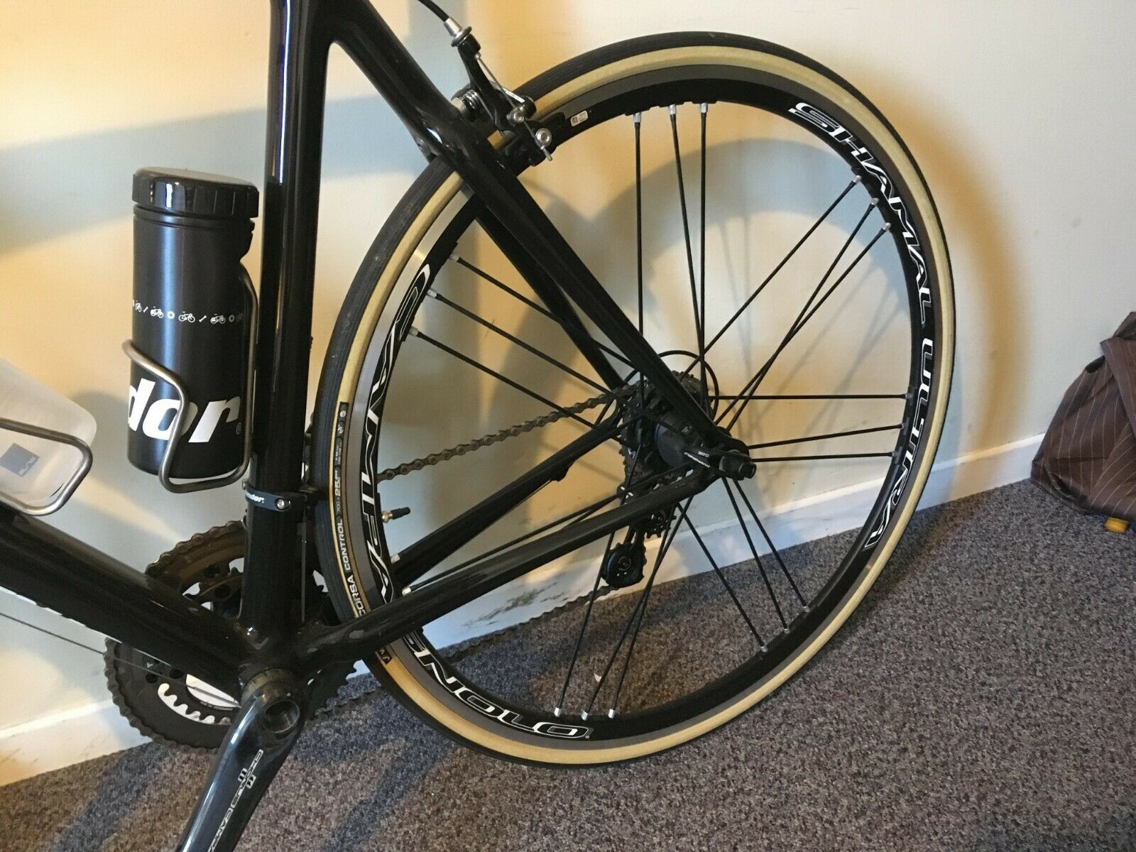 Condor Baracchi Bike 55 cm - Fresh Stock Dated February 2026