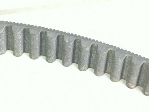 05 Harley Heritage Softail Classic FLSTCI Drive Belt - Fresh Stock Dated February 2026