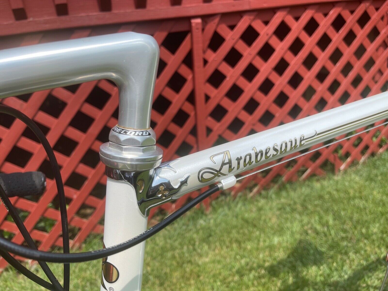 Colnago Arabesque - Fresh Stock Dated December 2025