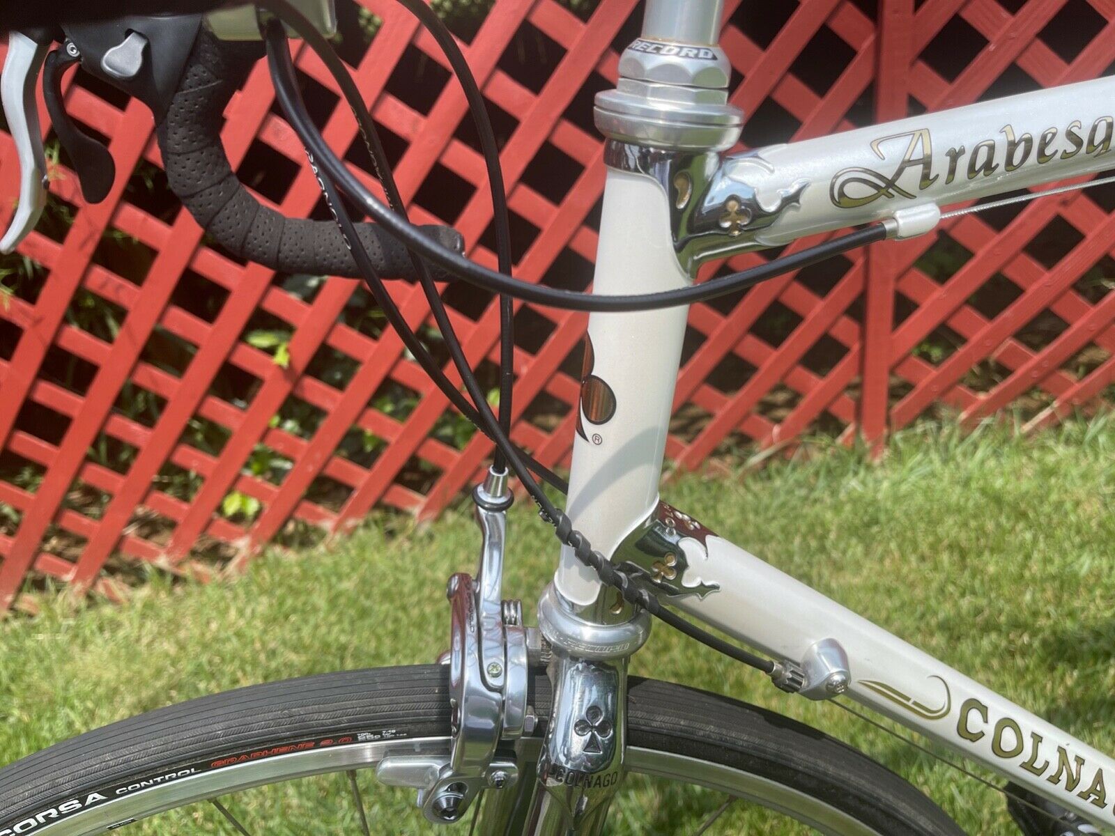 Colnago Arabesque - Fresh Stock Dated December 2025