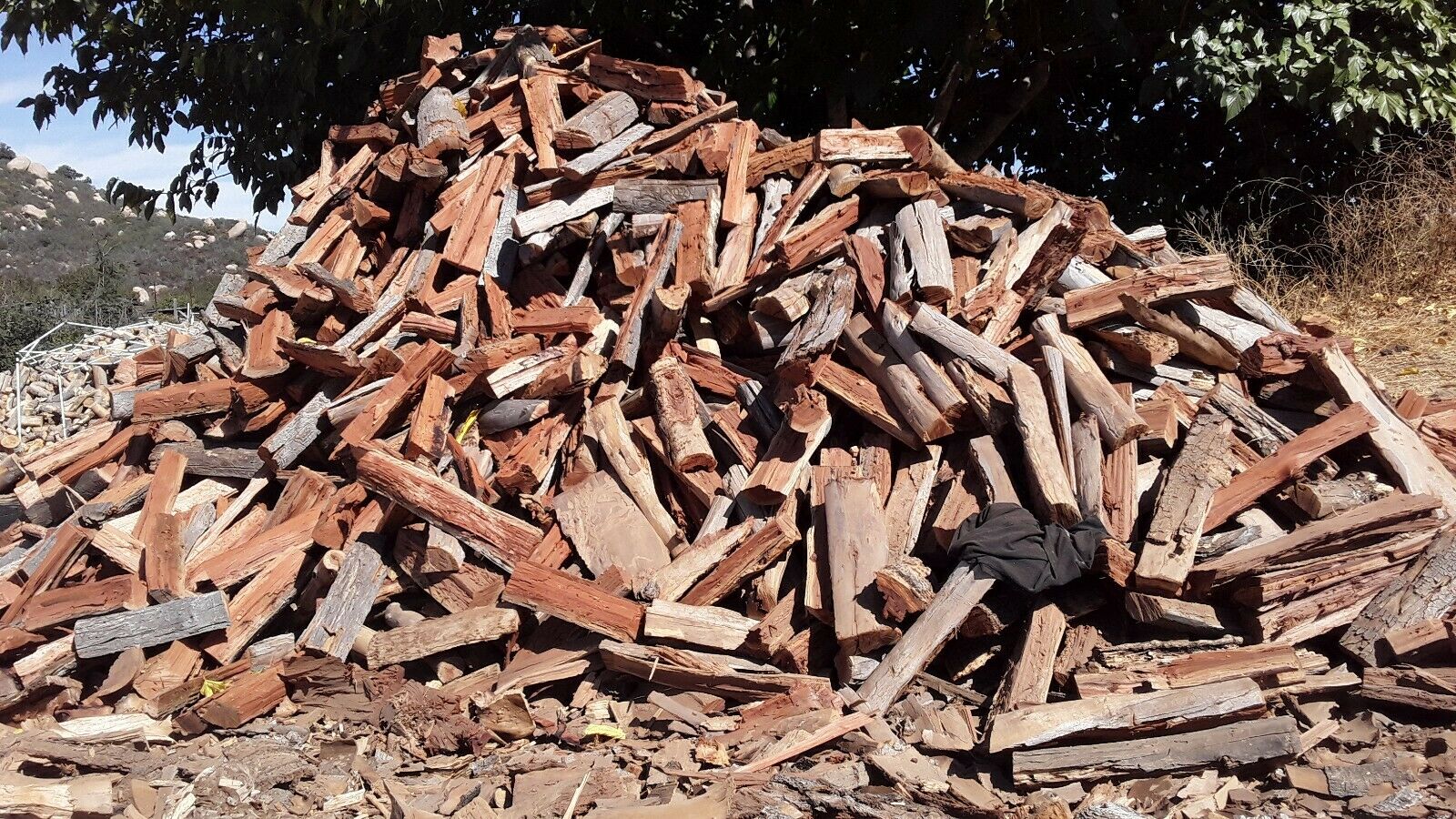 Seasoned Firewood : Oak, Avocado & Eucalyptus Split, Dry & Ready To Burn - Fresh Stock Dated December 2025