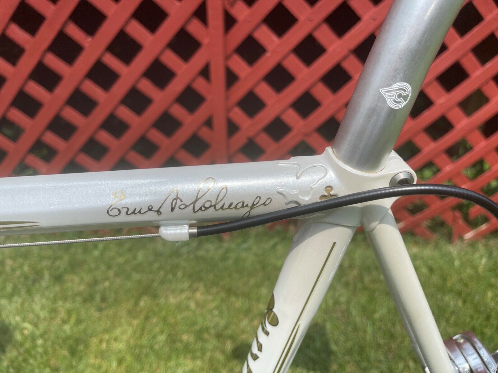 Colnago Arabesque - Fresh Stock Dated December 2025