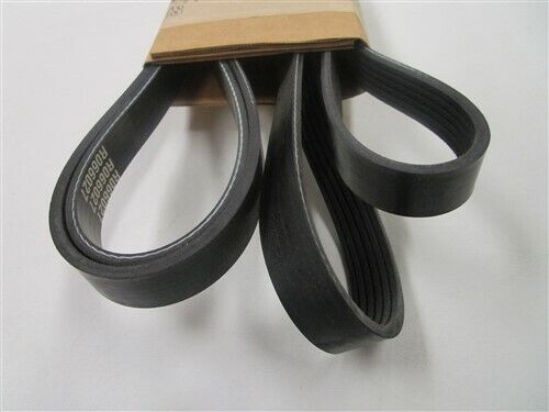 PLEASURECRAFT CRUSADER PCM SERPENTNE BELT 6.0L R066027 MARINE BOAT - Fresh Stock Dated February 2026