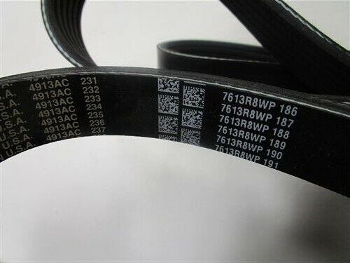 PLEASURECRAFT CRUSADER PCM SERPENTNE BELT 6.0L R066027 MARINE BOAT - Fresh Stock Dated February 2026