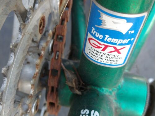 Rare True Temper GTX Chromoly Butted Frame Richter 8.0 GT Bicycle Bike 90s Proje - Fresh Stock Dated December 2025