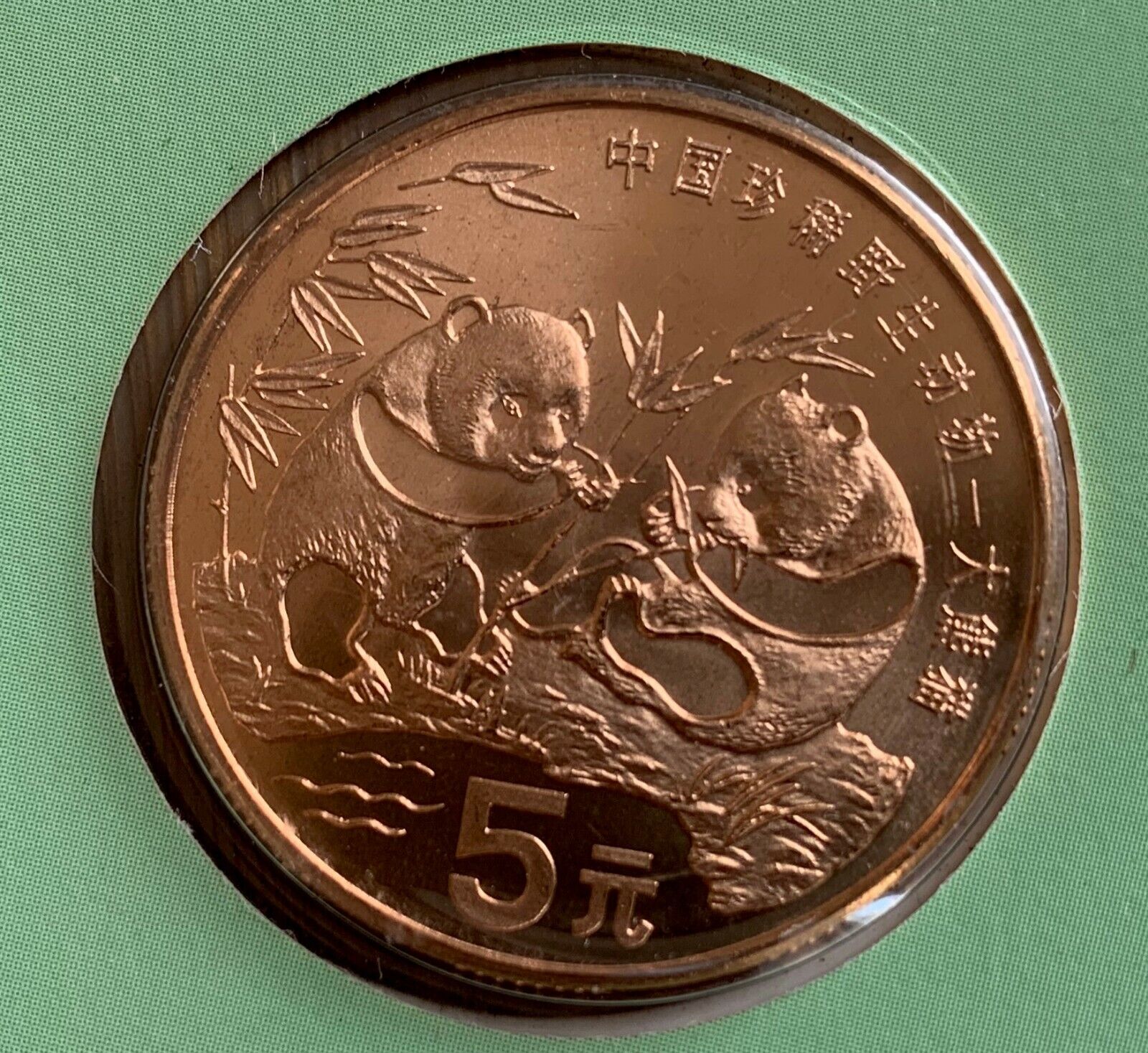 CHINA GIANT PANDA COPPER 5 YUAN 1993  - NATIONAL TREASURE  WITH CARD - Fresh Stock Dated February 2026