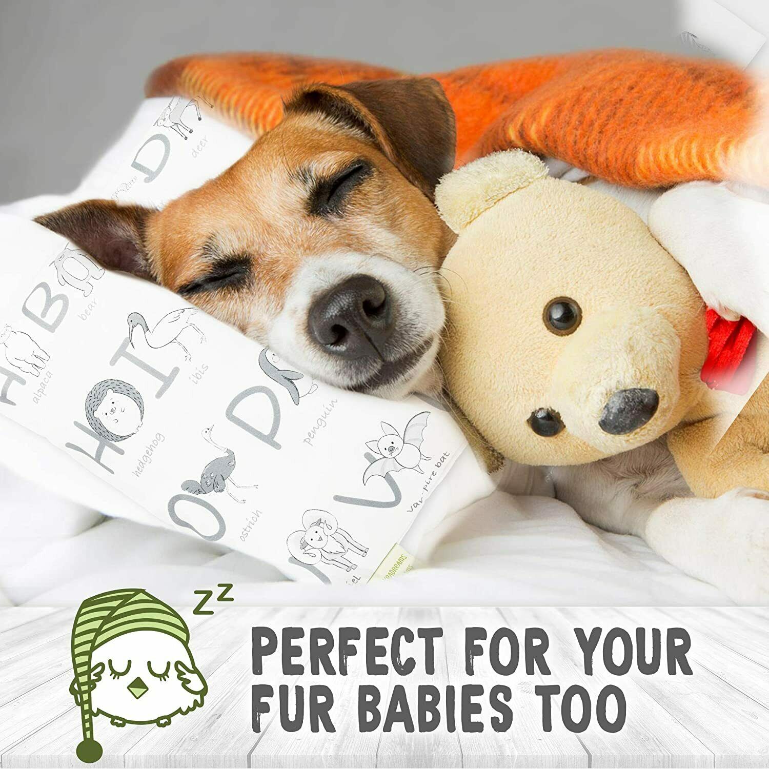 Toddler Pillowcase For 13X18 Pillow - Organic Toddler Pillow Case for Girl, Boy - Fresh Stock Dated December 2025