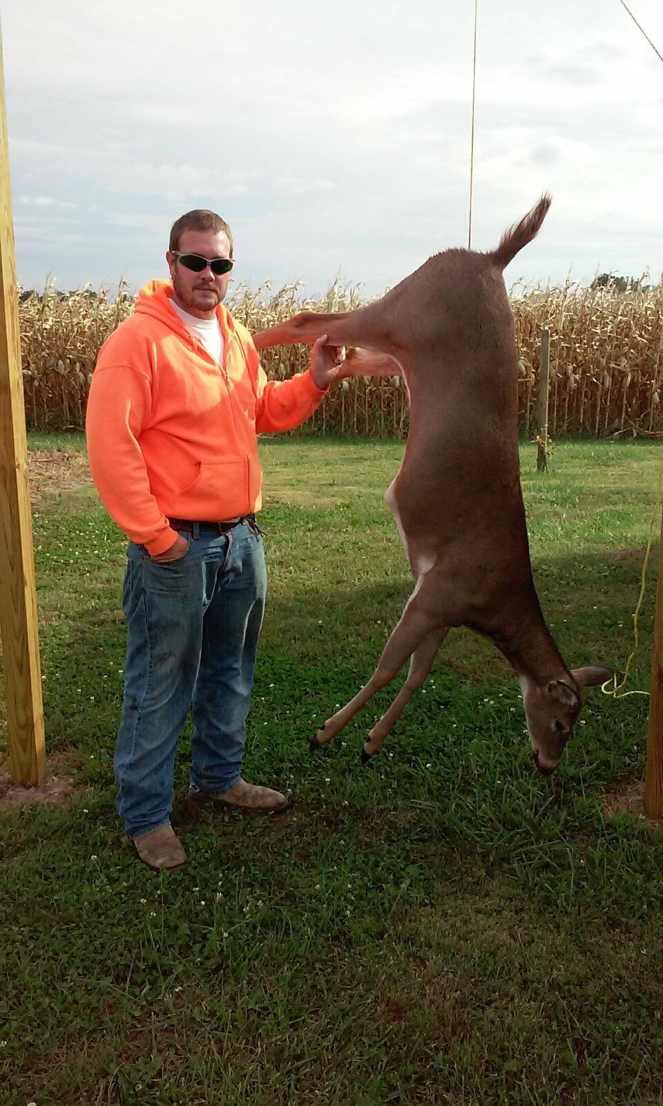 Deer pelvic hangers - Device for butchering deer and other animals - Fresh Stock Dated February 2026