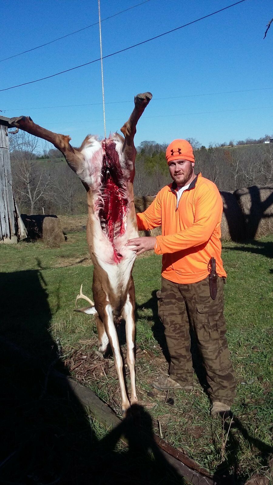 Deer pelvic hangers - Device for butchering deer and other animals - Fresh Stock Dated February 2026