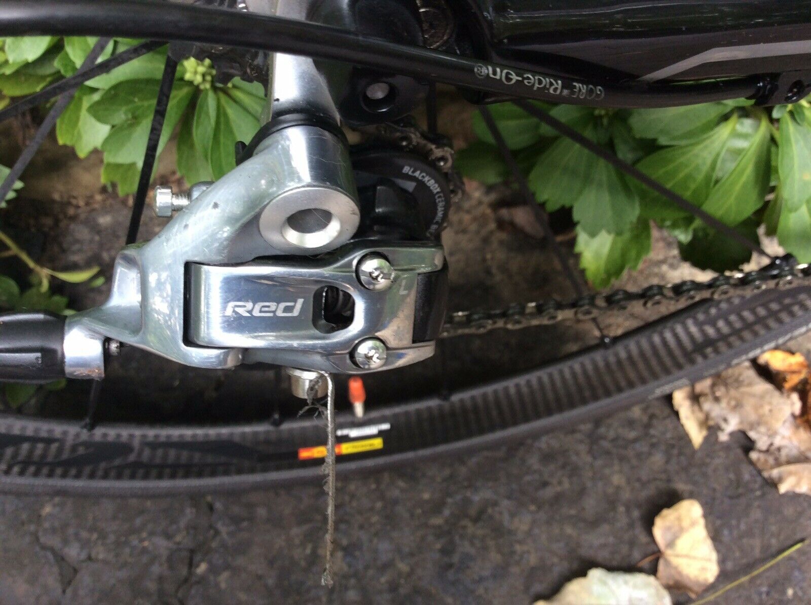 Superbike Cervelo S3 Road Bike - Fresh Stock Dated February 2026