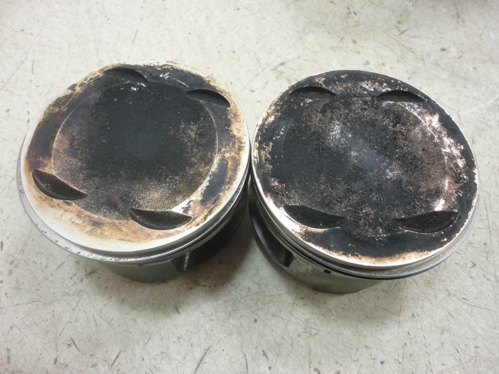 SUZUKI VS800 Intruder 800 CYLINDER PISTON SET 1990-1998 FRONT 1992-1998 REAR - Fresh Stock Dated February 2026