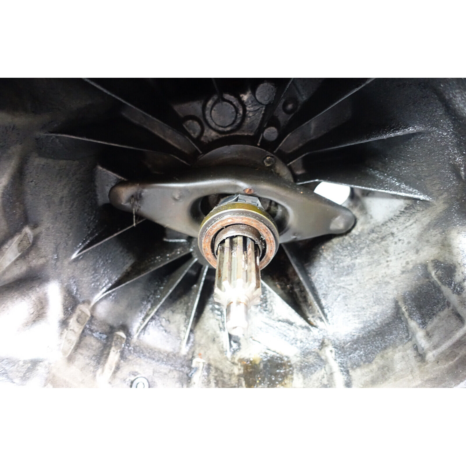 Damaged 2000-2003 BMW E39 M5 S62 Sedan 6-Speed Manual Transmission Gearbox OEM - Fresh Stock Dated February 2026