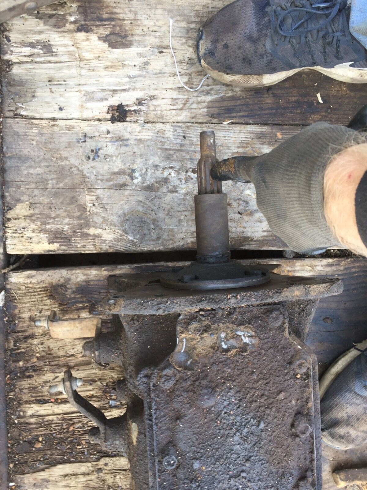 Ford 3 speed three toploader type transmission manual standard RAT LA truck 1982 - Fresh Stock Dated February 2026