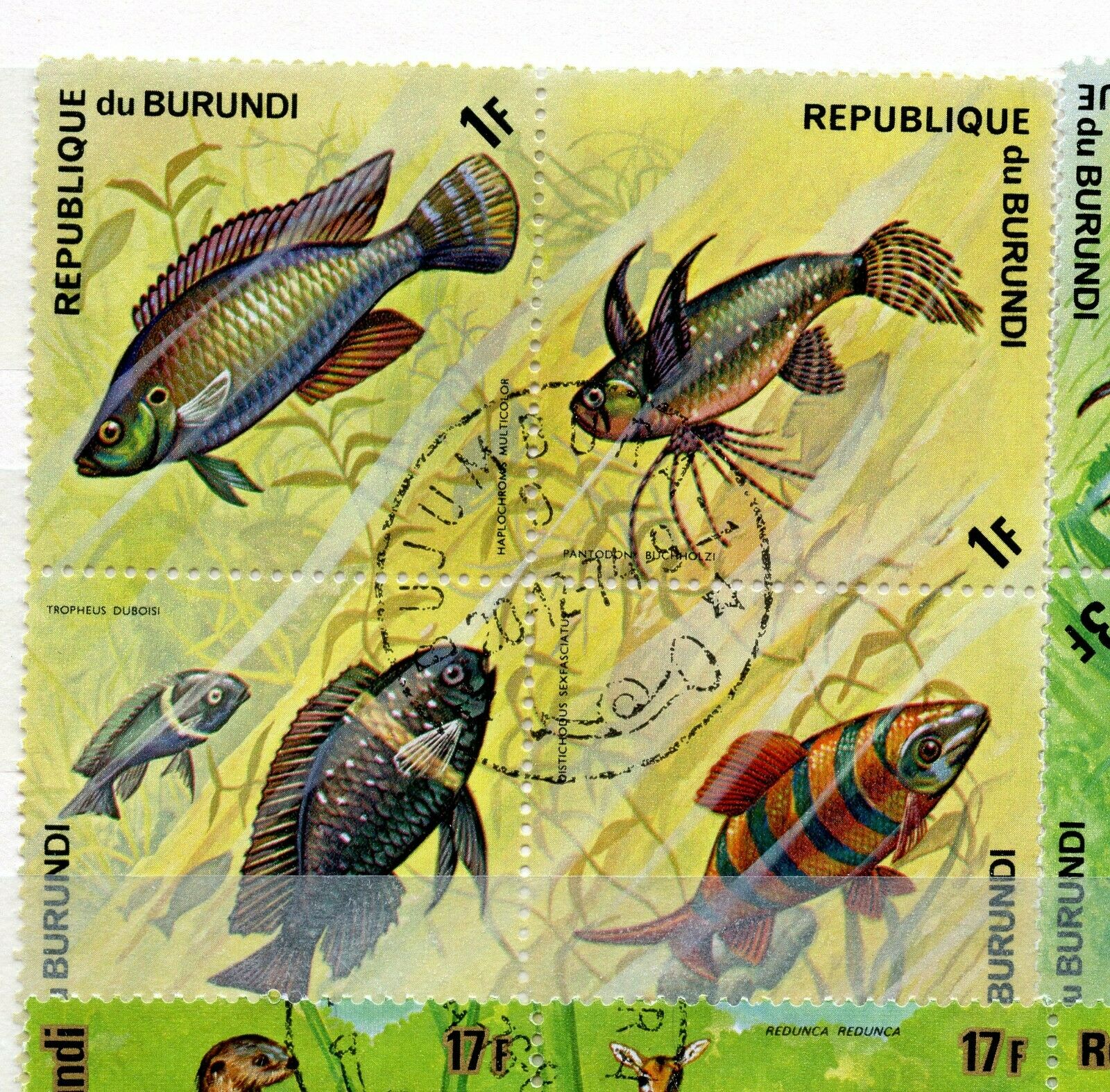 6 Burundi Mint Hinged Used Hinged - Fresh Stock Dated December 2025