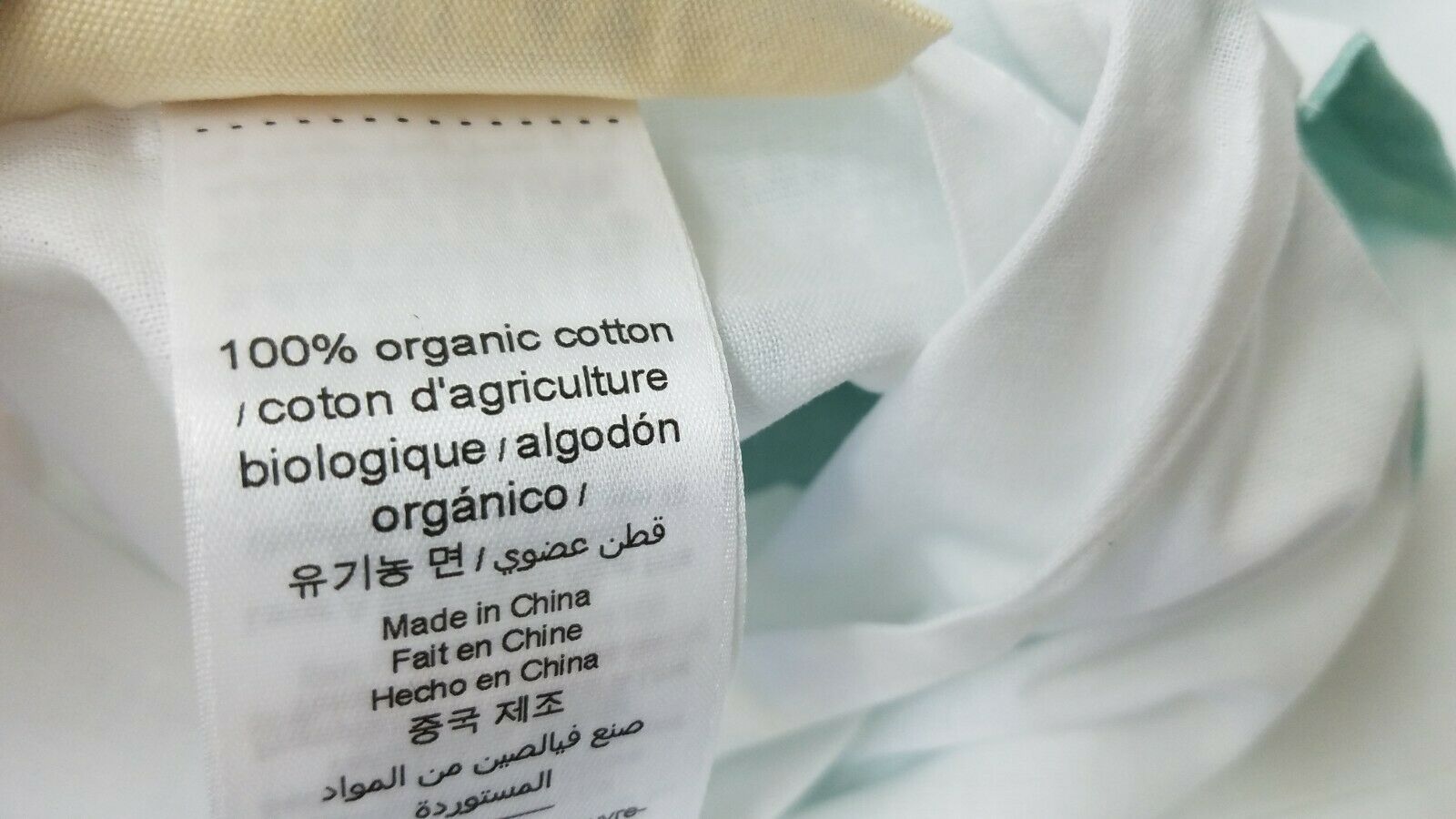 Pottery Barn Teen Kelly Slater Organic Shells Standard Sham Pillow case Pool - Fresh Stock Dated February 2026