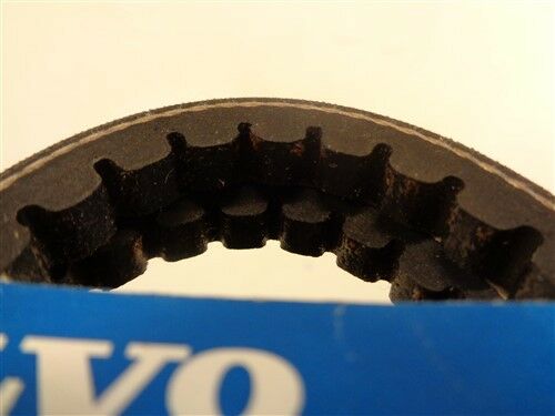 VOLVO PENTA 973535-8 V BELT MARINE BOAT - Fresh Stock Dated February 2026