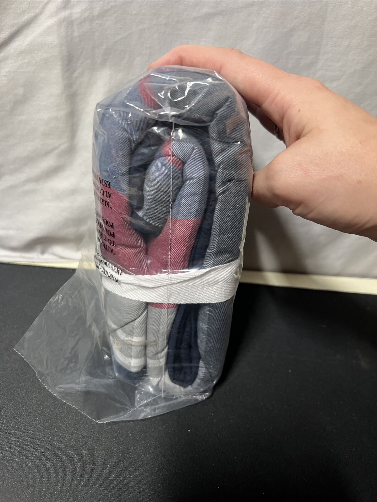 Pottery Barn Teen Walker Plaid Standard Set Of 2 Shams (26x20in) - Fresh Stock Dated February 2026