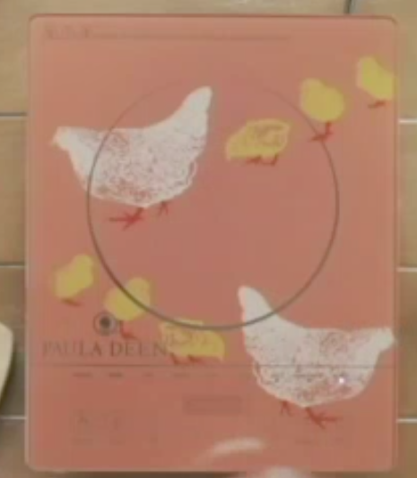 NEW Paula Deen 1500W LED Colored Glass Programmable Induction Cooker Hen Chicks - Fresh Stock Dated February 2026