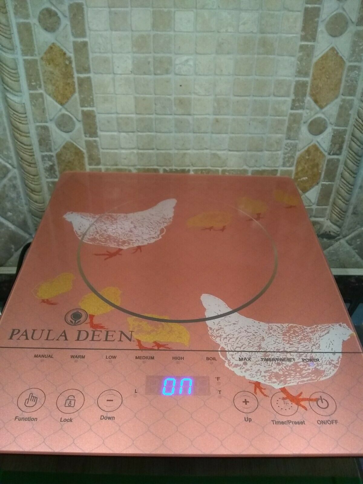 NEW Paula Deen 1500W LED Colored Glass Programmable Induction Cooker Hen Chicks - Fresh Stock Dated February 2026