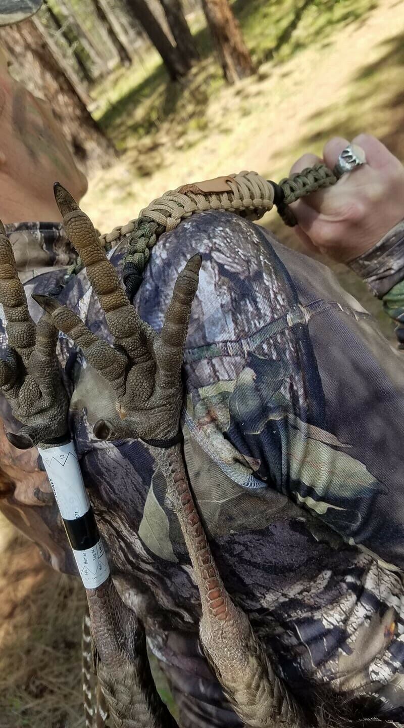 Turkey Tote (Camo/Tan) - Fresh Stock Dated February 2026