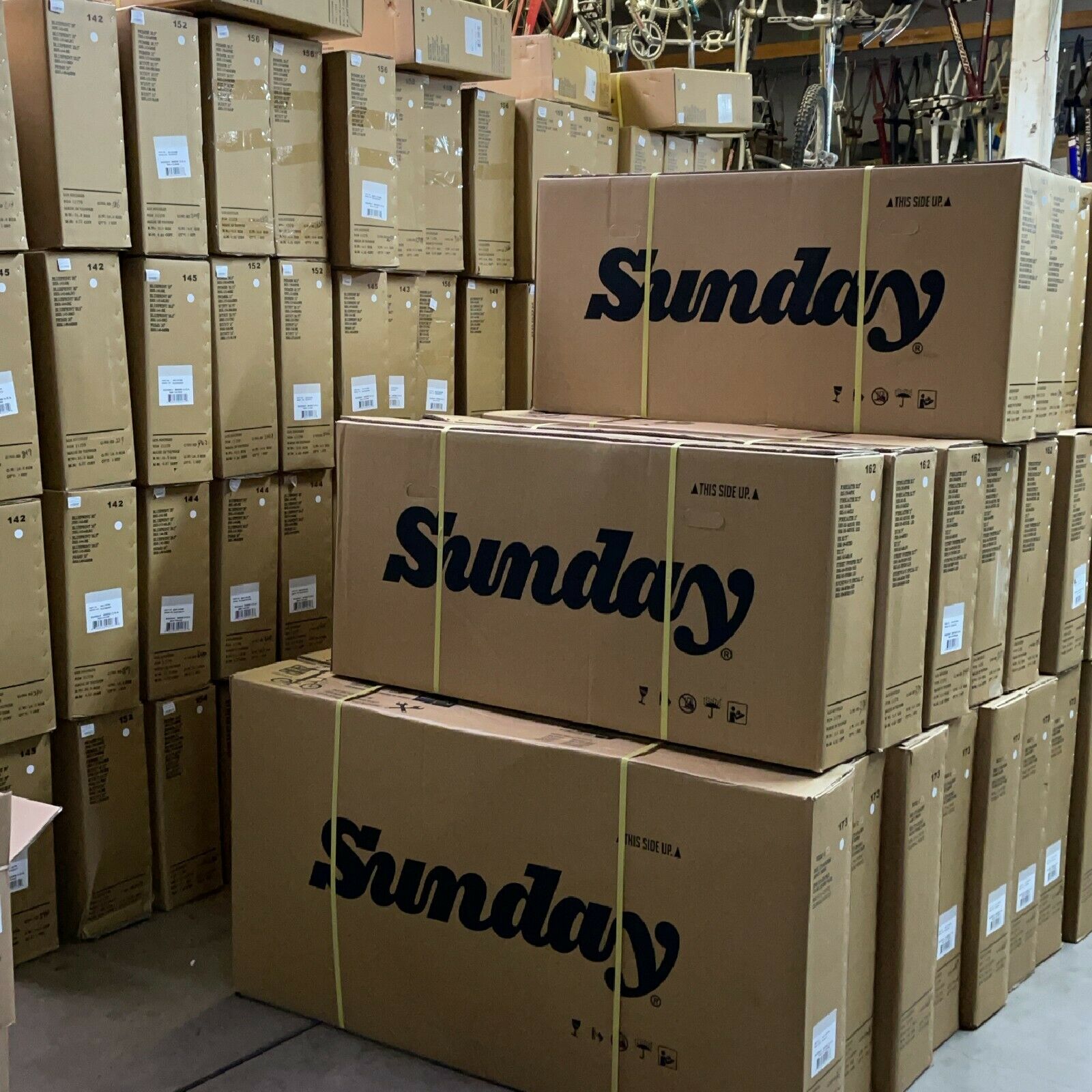 2022 Sunday Primer 20