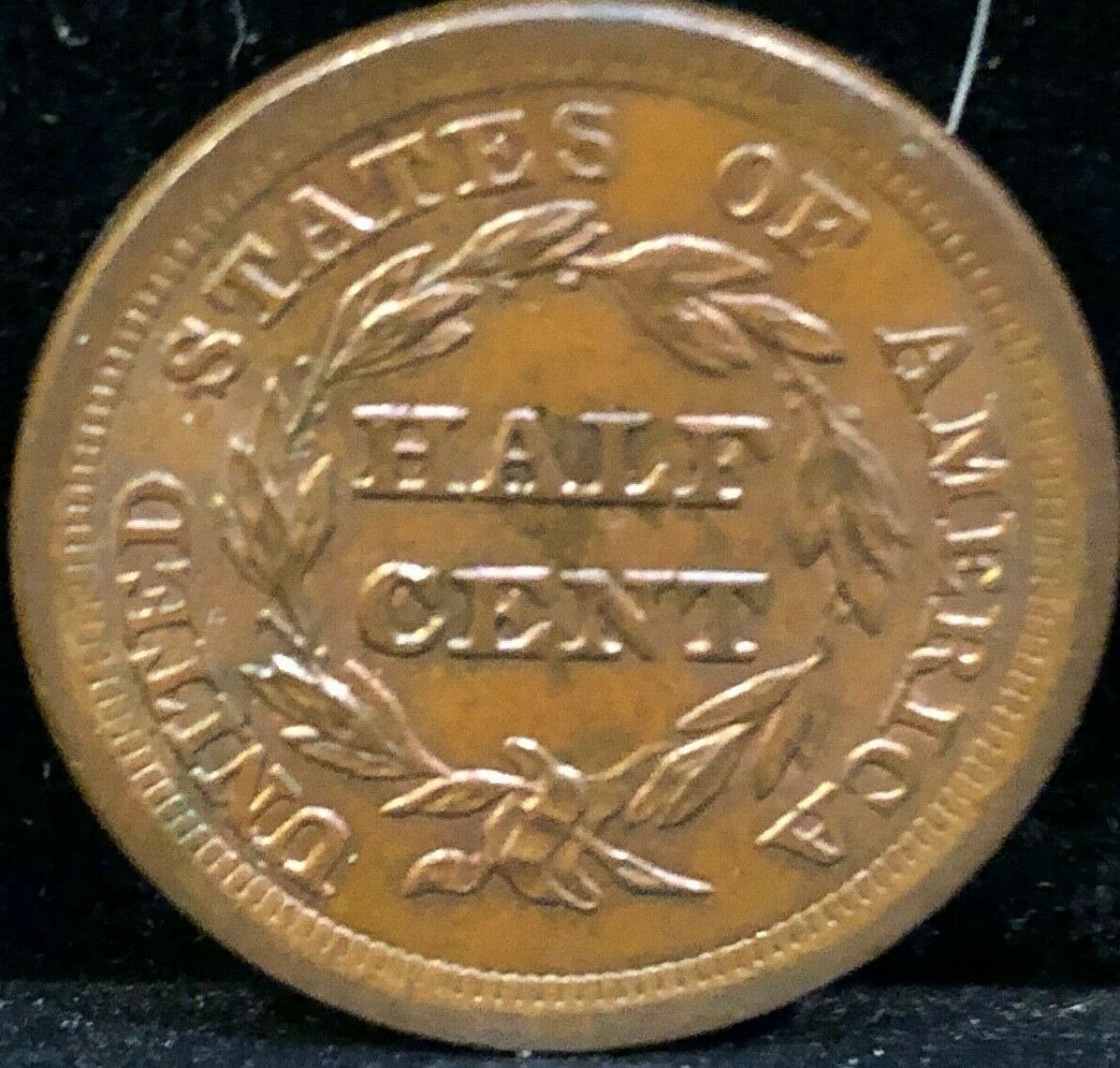 1855    Braided   Hair   HALF CENT      Cohen -  1      UNCIRCULATED - Fresh Stock Dated February 2026