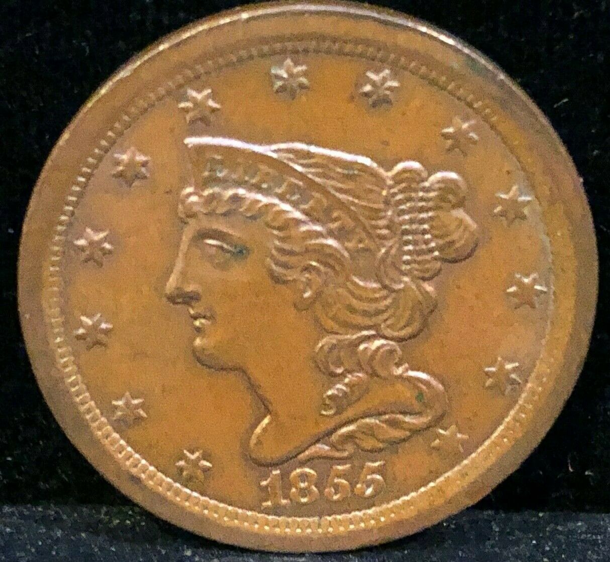 1855    Braided   Hair   HALF CENT      Cohen -  1      UNCIRCULATED - Fresh Stock Dated February 2026