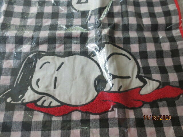 Pottery Barn Teen Sleeping Snoopy ZZZZZ Pillow Cover 18x18~Peanuts~Snoopy - Fresh Stock Dated December 2025