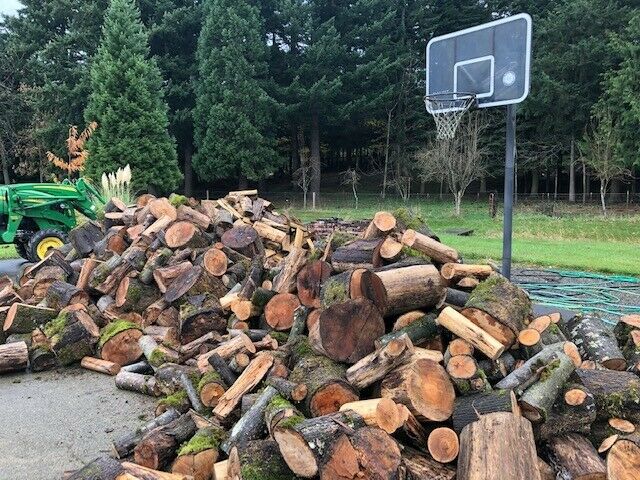 firewood split rounds seasoned - Fresh Stock Dated December 2025