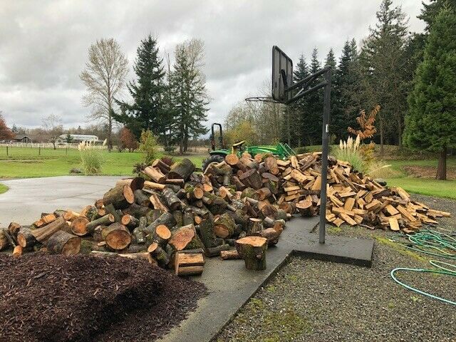 firewood split rounds seasoned - Fresh Stock Dated December 2025