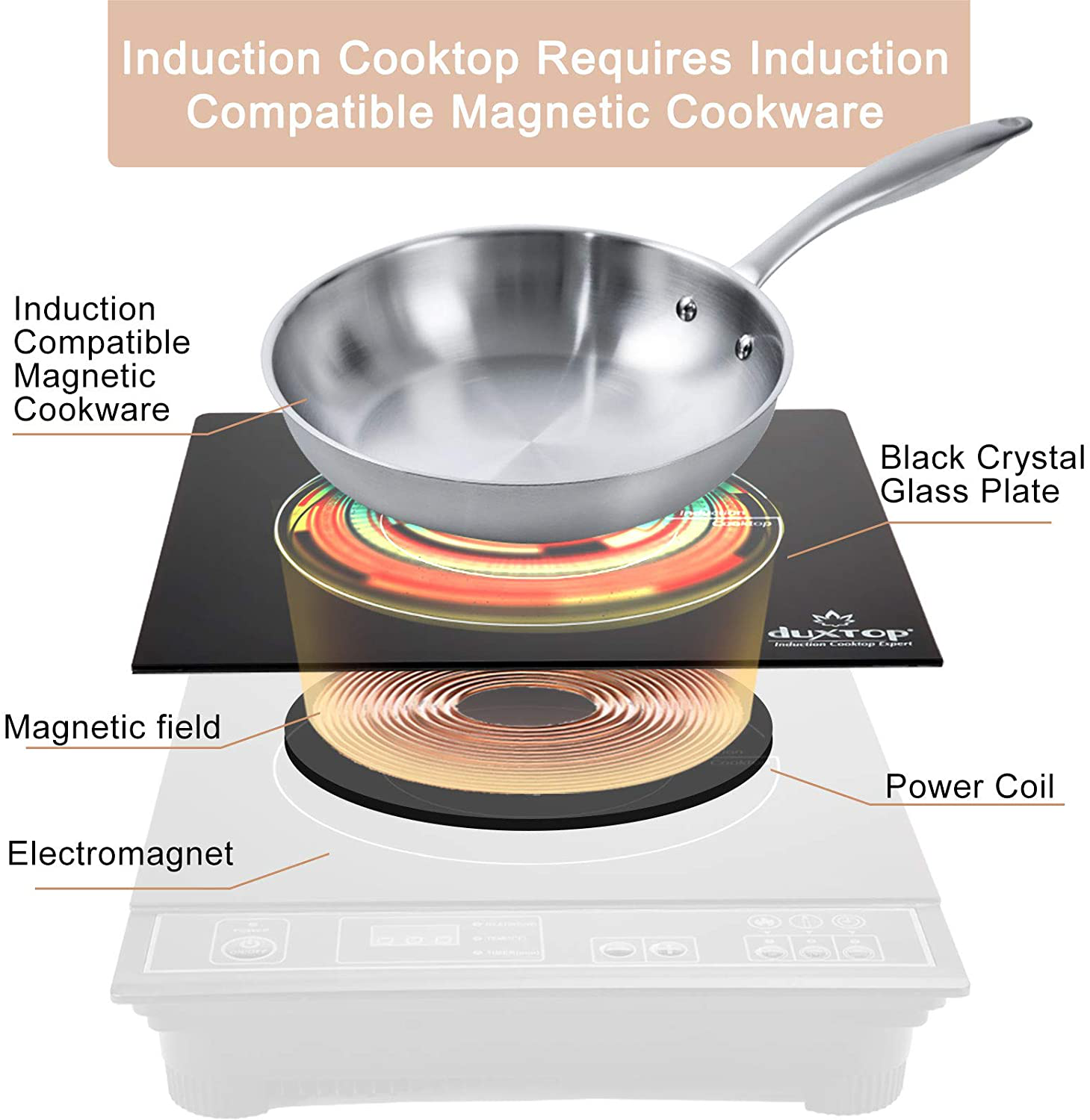 Electric Portable Induction Cooktop Countertop Burner 1800W, Black for Dorm & RV - Fresh Stock Dated December 2025