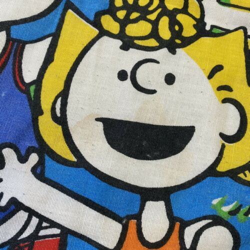 Vintage 60s 70s Charlie Brown The Peanuts Pillow Case Bedding Cartoon Movie - Fresh Stock Dated December 2025