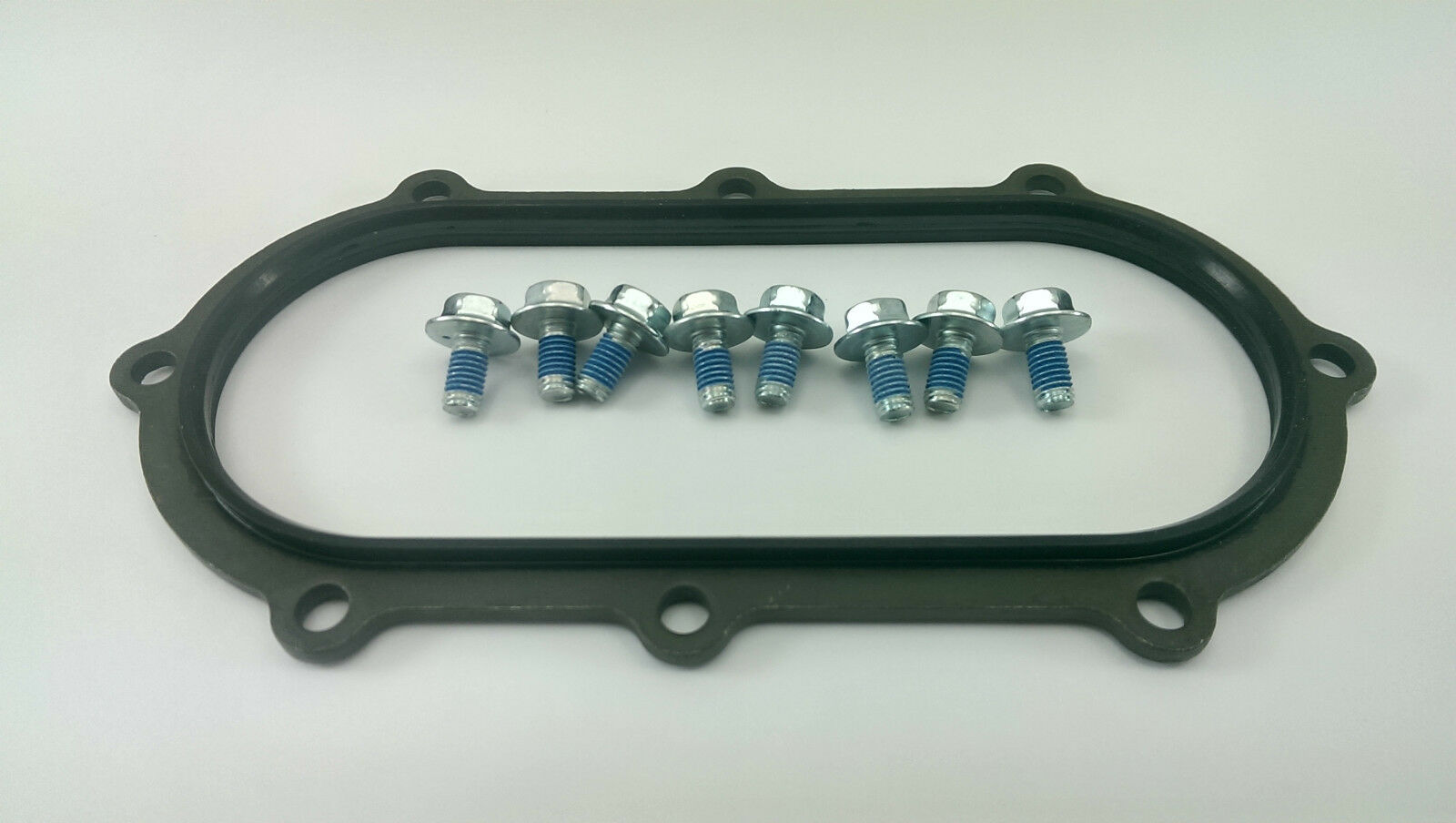 97 98 99 00 01 TL1000S - FUEL PUMP GASKET W/ BOLTS - 44590-02820 - Fresh Stock Dated February 2026