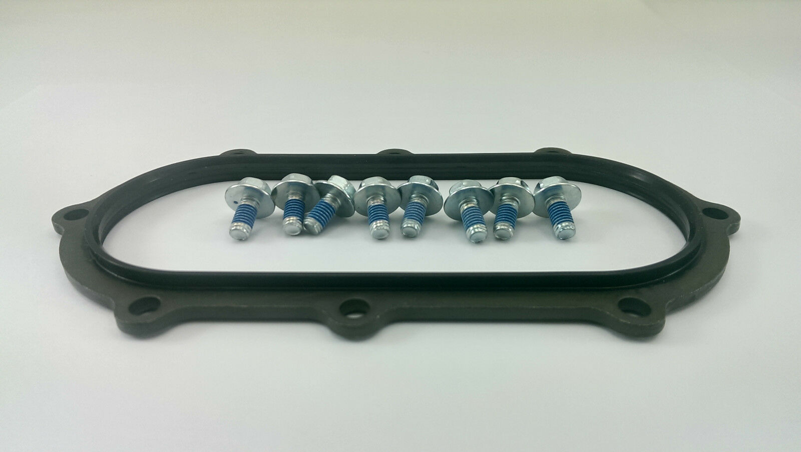 97 98 99 00 01 TL1000S - FUEL PUMP GASKET W/ BOLTS - 44590-02820 - Fresh Stock Dated February 2026