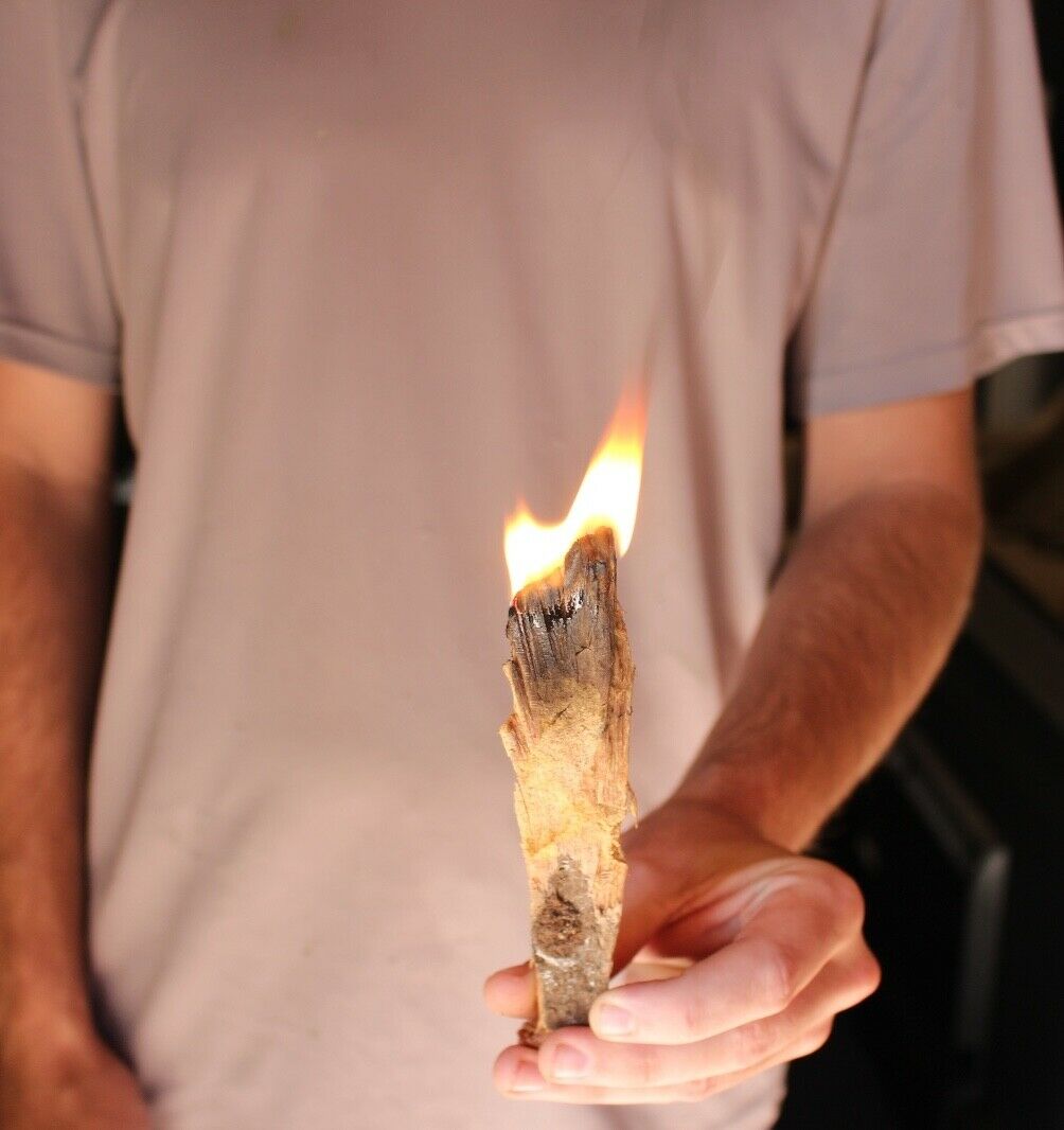 Fat Pine Kindling Lighter Knot Fire Starter Natural Fatwood 6 LBS From Florida - Fresh Stock Dated December 2025