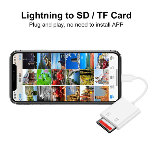 For Apple To Sd Card Camera Reader Tail Adapter Iphone Ipad - Fresh Stock Dated February 2026