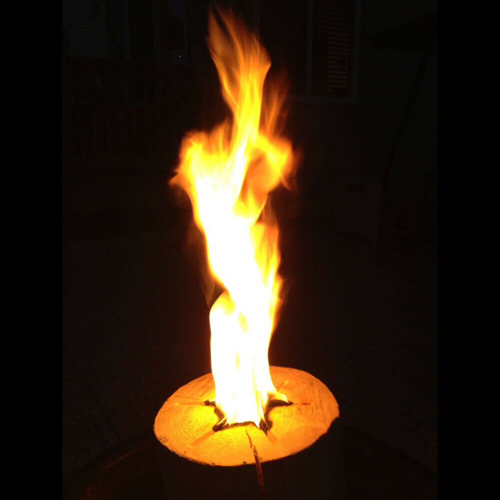 TimberTote Large 12x8 Inch One Log Campfire Cooking Camp Fire Wood Log(Open Box) - Fresh Stock Dated December 2025