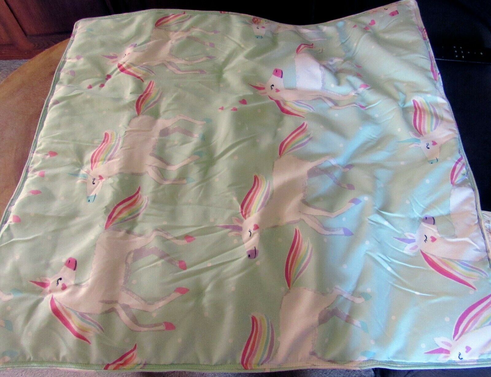 Pottery Barn Kids Molly Unicorn Dream Puff Soft Aqua Euro Pillow Sham 26