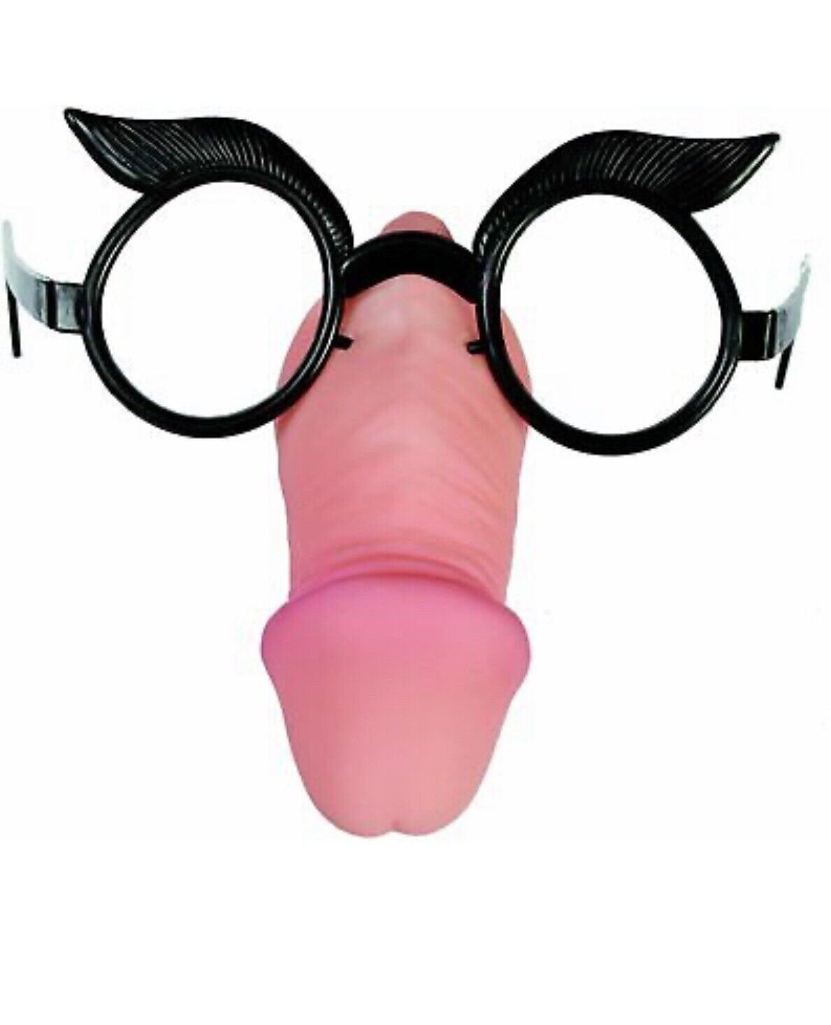 willy sunglasses - Fresh Stock Dated February 2026